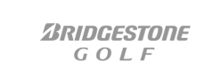 bridgestone golf 브리지스톤 골프